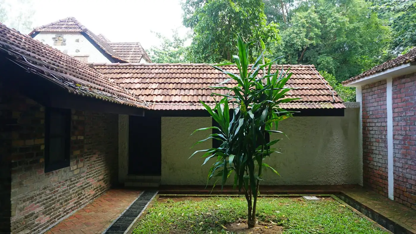 Finished tropical courtyard with deck and planting