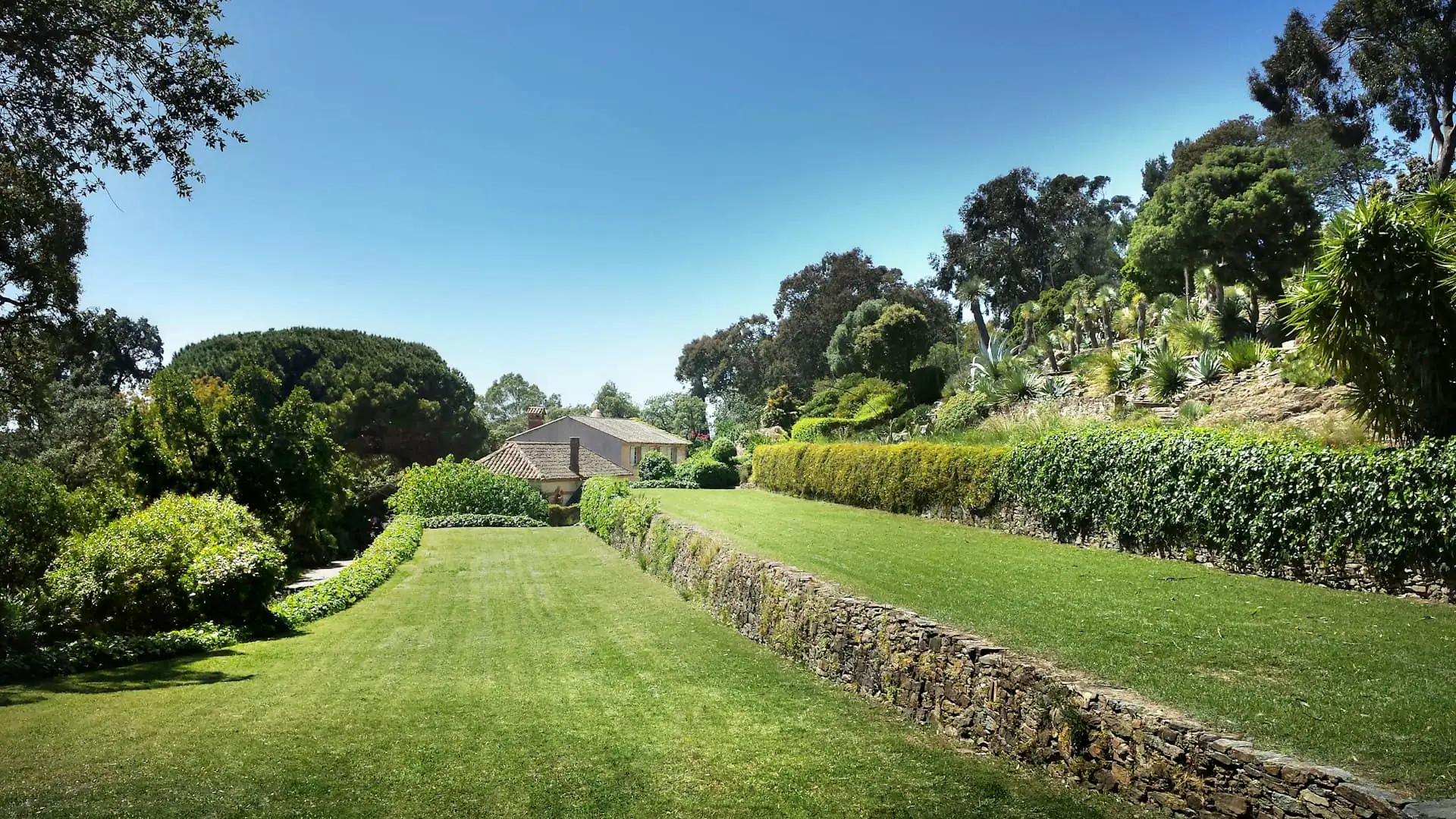 Lush terraced garden with stone walls and layered planting